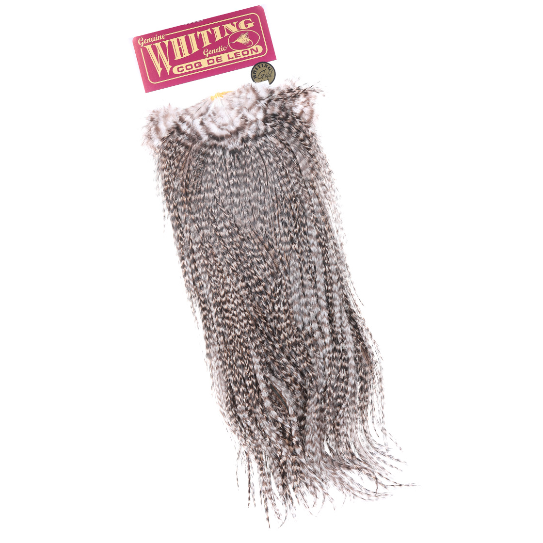 Whiting Coq De Leon Gold Grade Saddle  Whiting Coq De Leon Gold Grade Saddle