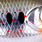 asian trout #47
