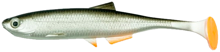 Real Roach