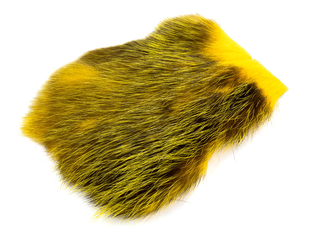 future_fly_american_opossum_yellow yellow