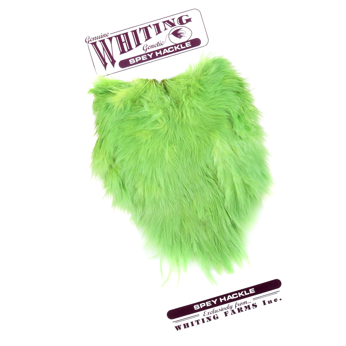 Whiting Spey Hackle Hen Saddle Grizzly dyed Shell Pink