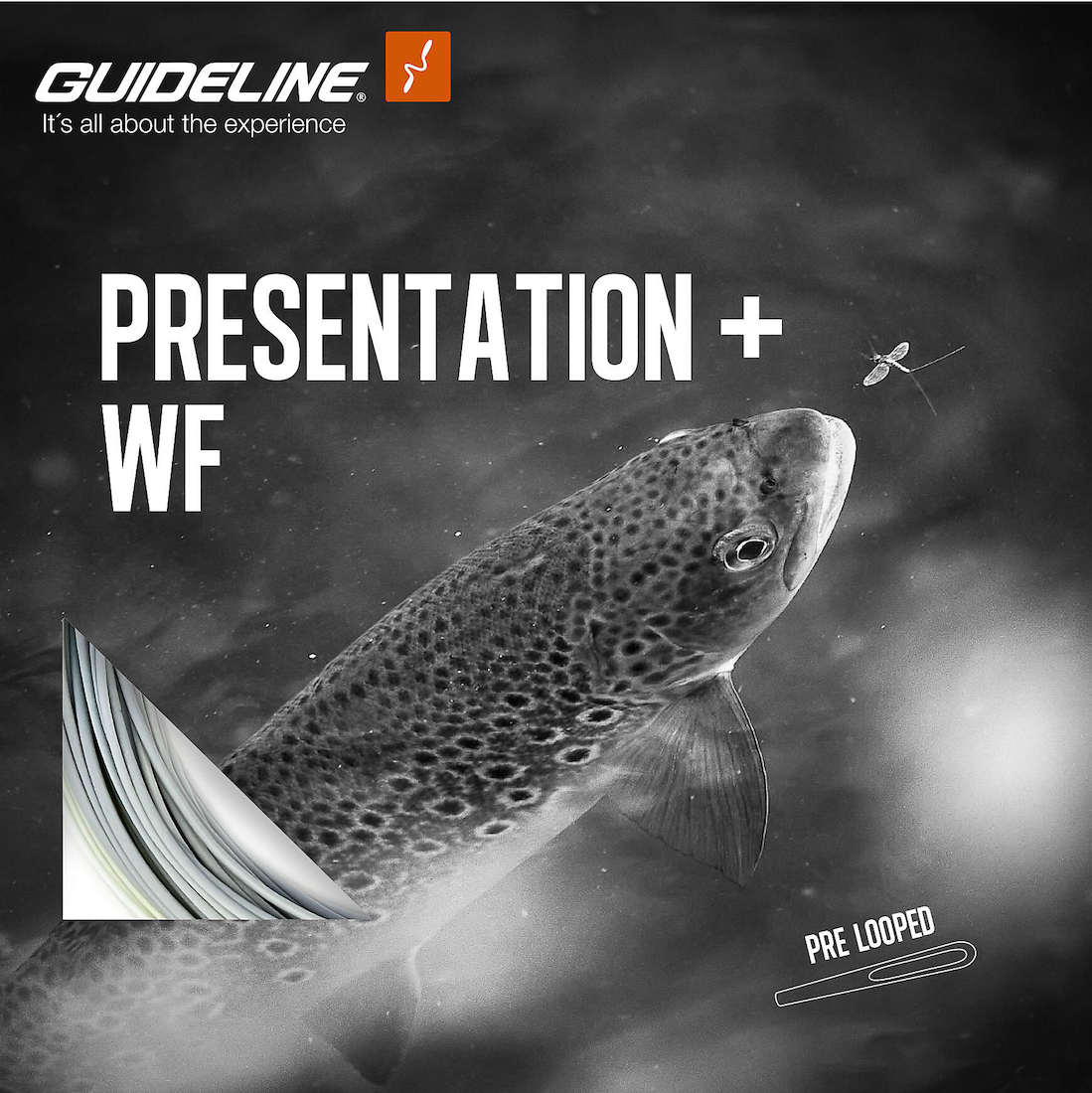 P-23795_Guideline_Presentaion-_Fliegenschnur_ Guideline Presentation+ Fly Line Floating