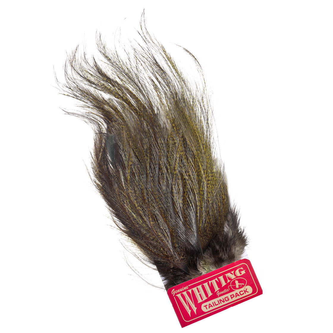 pardo dyed olive