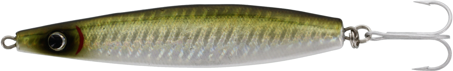 green sardine