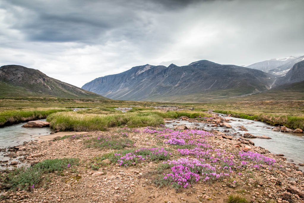 greenland-15 - Grönland 2014