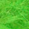 insect green
