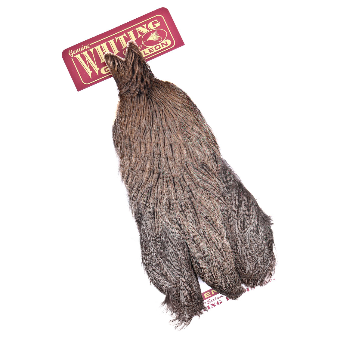 P-25393_Whiting-Coq-de-Leon-Hen-Cape-Brown-Speckled Whiting Coq de Leon Hen Cape