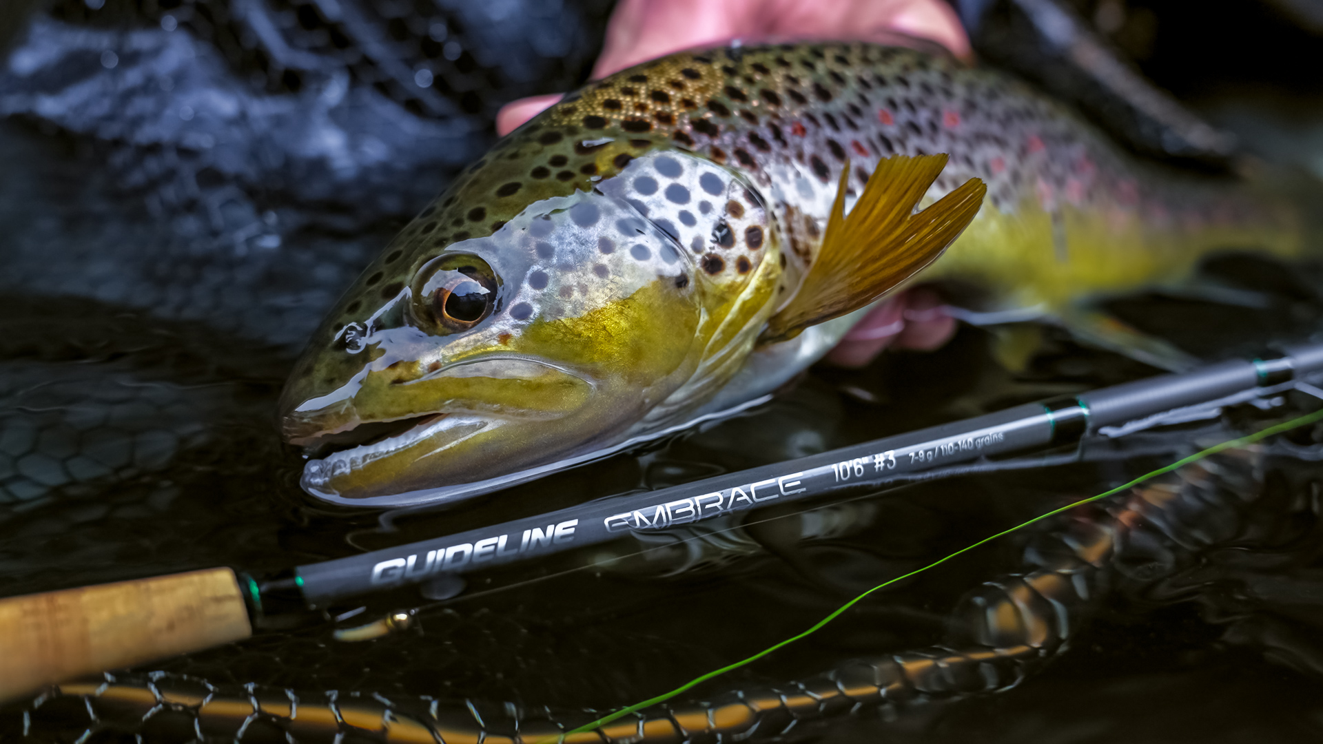 adh-fishing Test: Guideline Embrace Nymph Kit – an easy entry into Euro nymphing