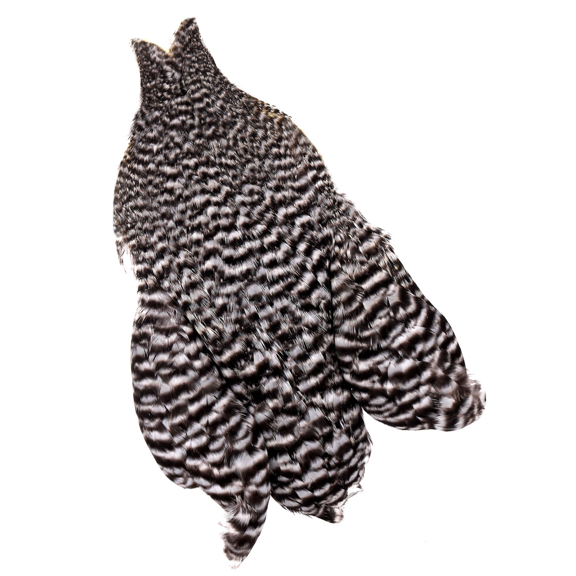 P-25373-4_Whiting-4-B-s-Hen-Cape_grizzly grizzly