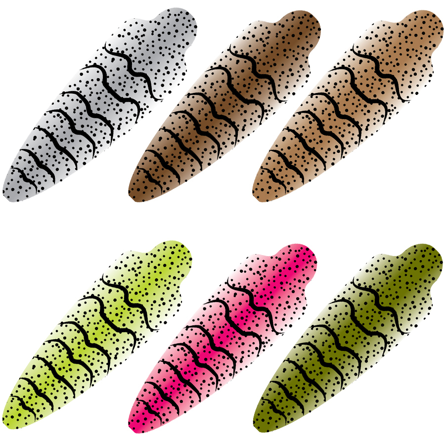 Pro_Sportfisher_Shell_WOE_1