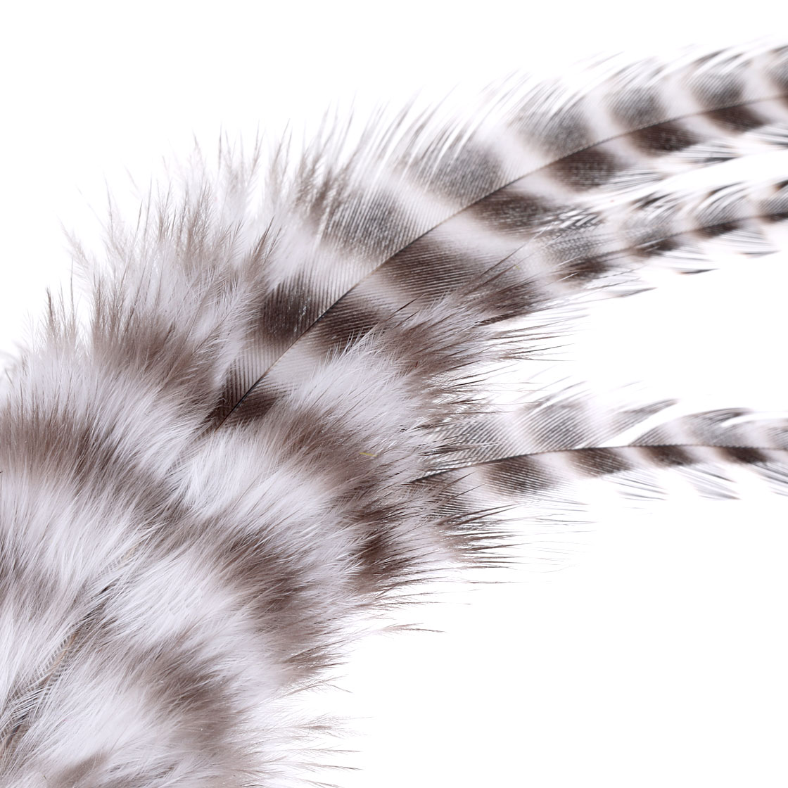 P-21430_hareline_half-grizzly-predator-saddle_detail_natural-grizzly