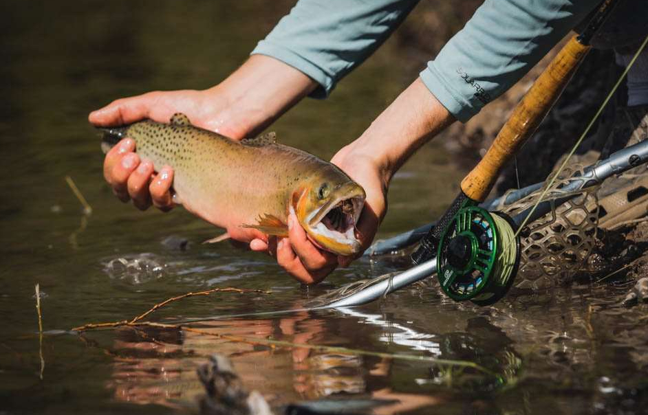P-23685_Cheeky_Launch_Fliegenrolle_325_4