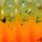 fire tiger uv #144
