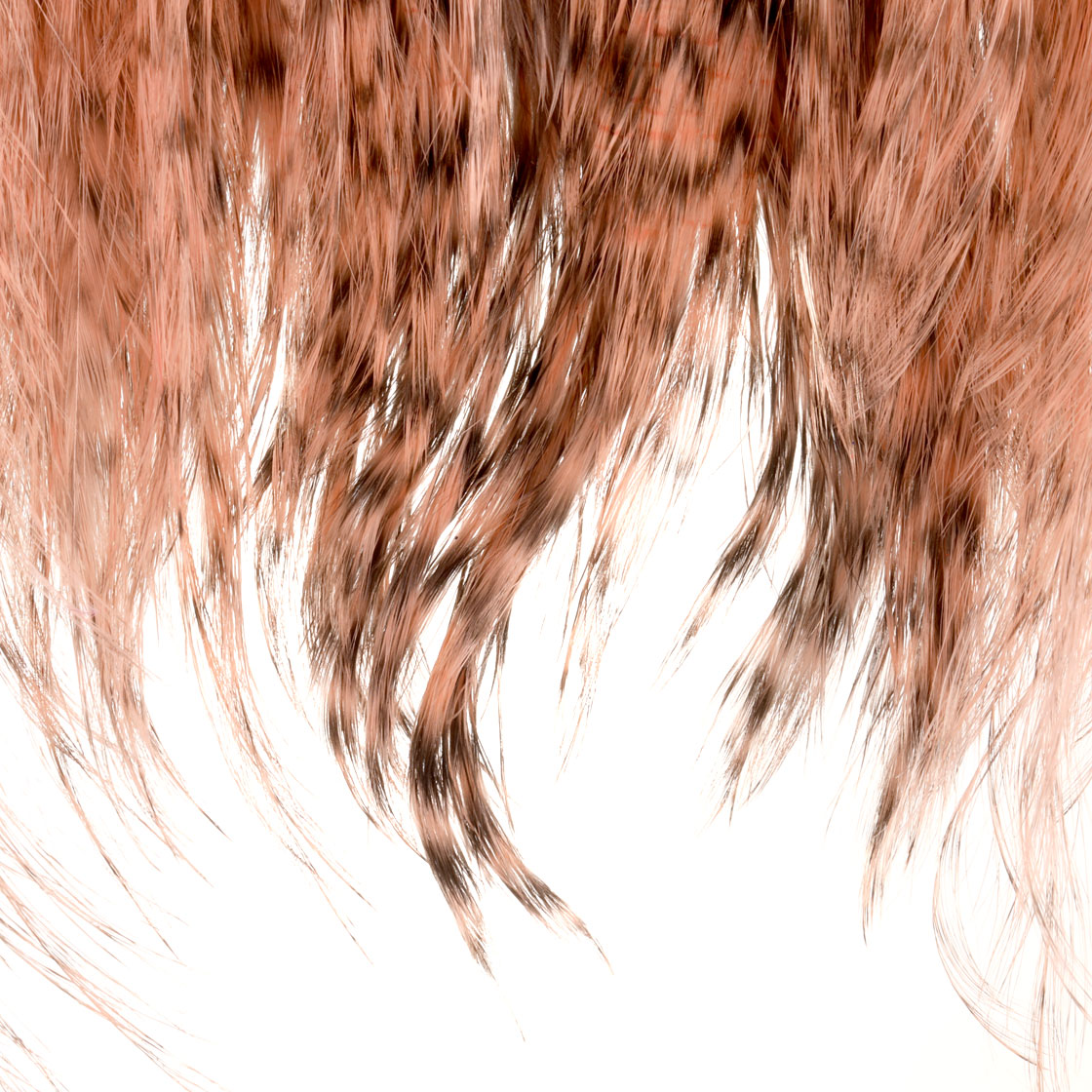 grizzly saddle