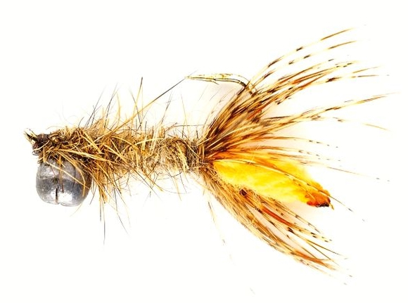 P-29096_Peeping_Caddis_Fulling_Mill_Nymphe_Fliege Fulling Mill Peeping Caddis Hare's Ear Nymphe