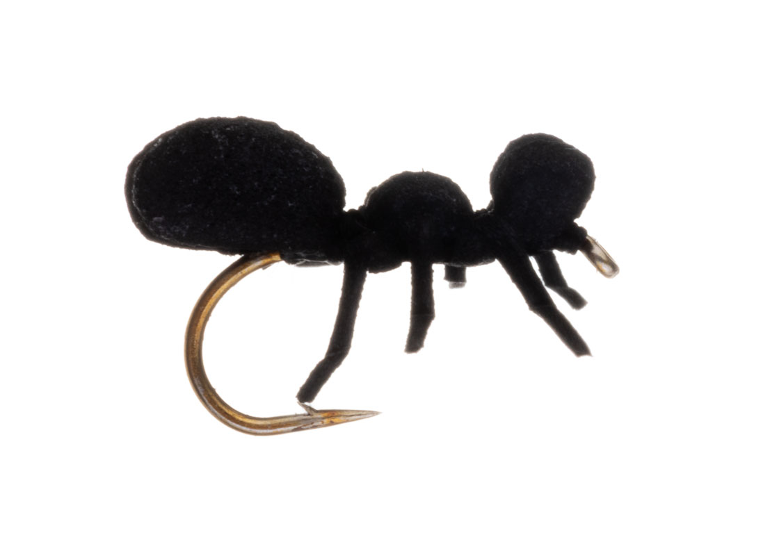 15918_Vania-Realistic-True-Ant-Black