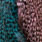 shell pink/kingfisher
