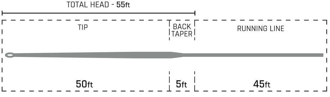 P-28519_Cortland_Hover_444_Fliegenschnur_2
