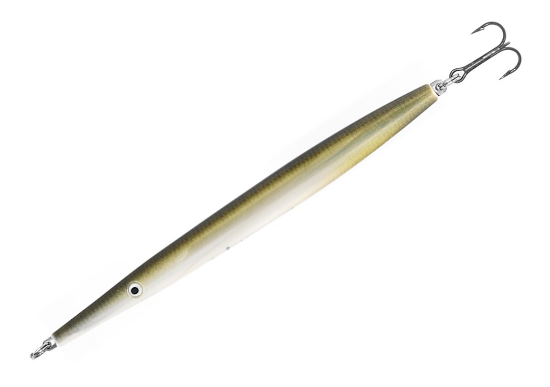 Sand Eel