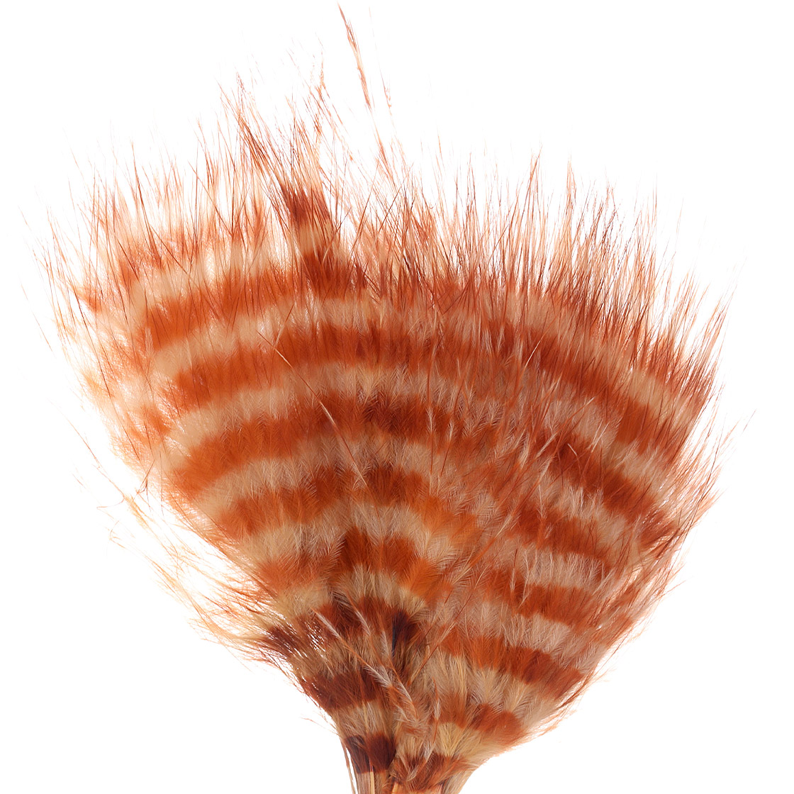 tan/barred brown