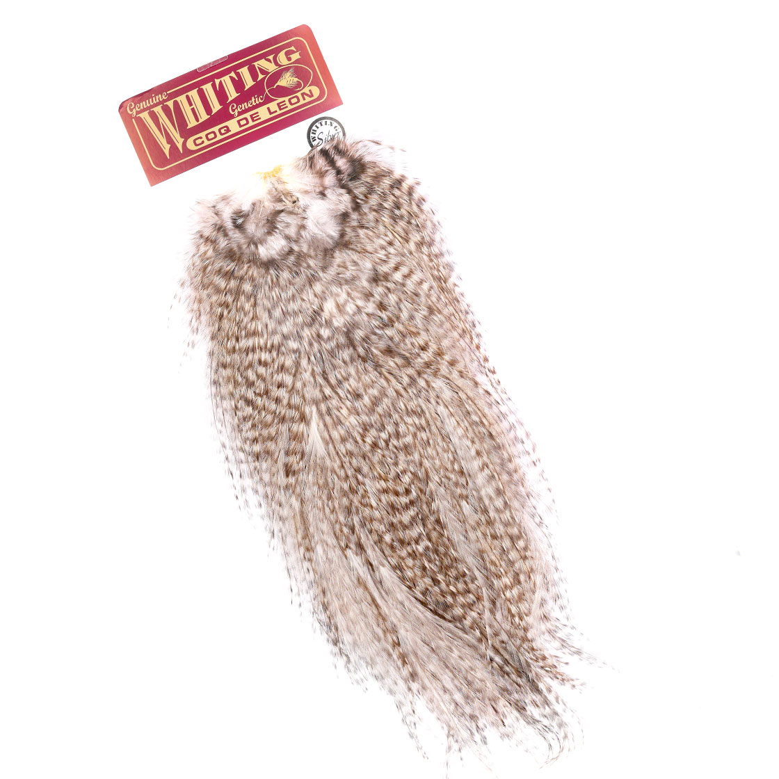 Whiting Coq De Leon Gold Grade Saddle