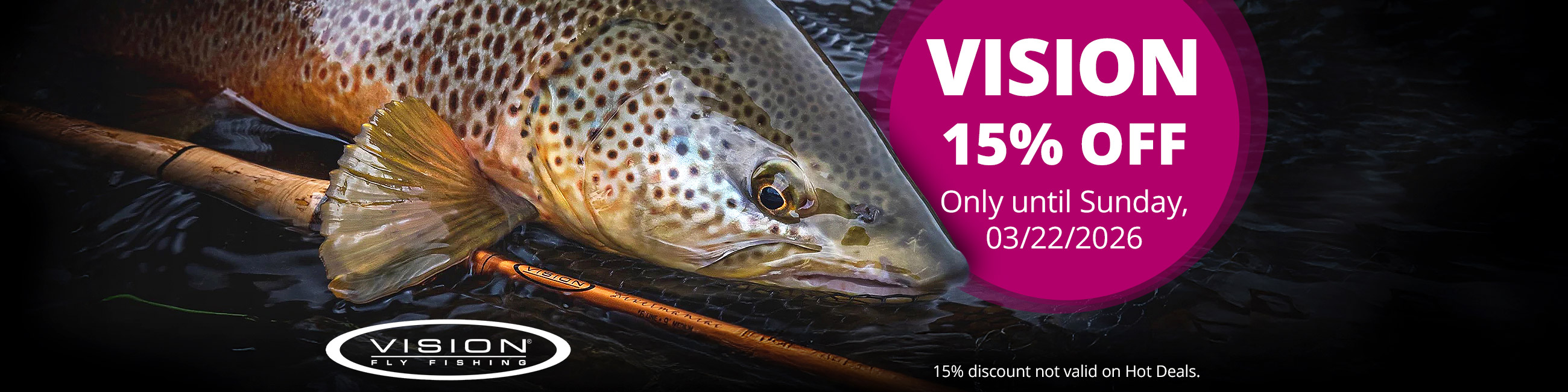 15% off VISION until 3/22