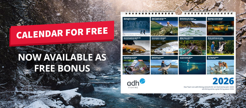 Now as Bonus: Free Calendar for 2026