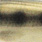 gudgeon