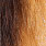 ginger