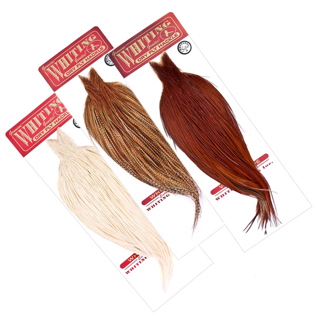 P-25433_Whiting-Silver-Cape_titel Whiting Silver Cape