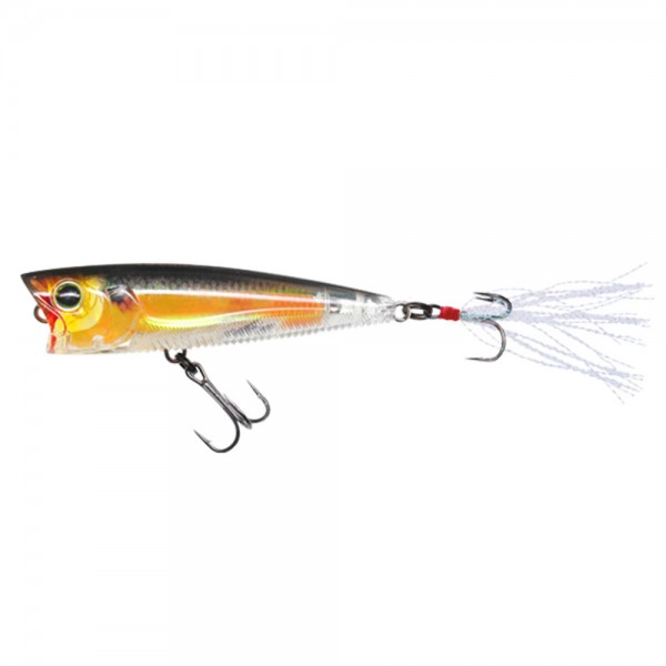 Real Golden Shiner