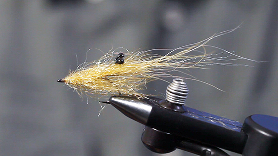 Tom Jansen: Bindevideo eine Veggie Shrimps Tom Jansen: Fly Tying Video Veggie Shrimp