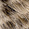 05 brown