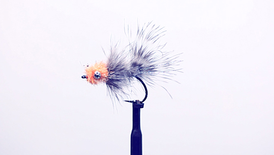 Fly Tying Video: Bloody Nosed Frede