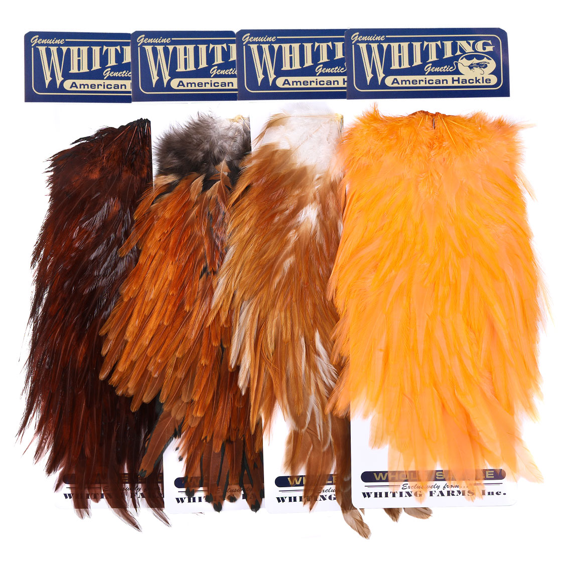 P-25381_Whiting-American-Rooster-Saddle_titel Whiting American Rooster Saddle