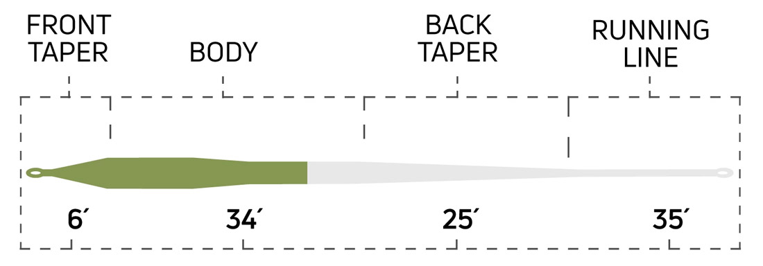 cortland_salmon_steelhead_taper