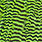 grizzly chartreuse