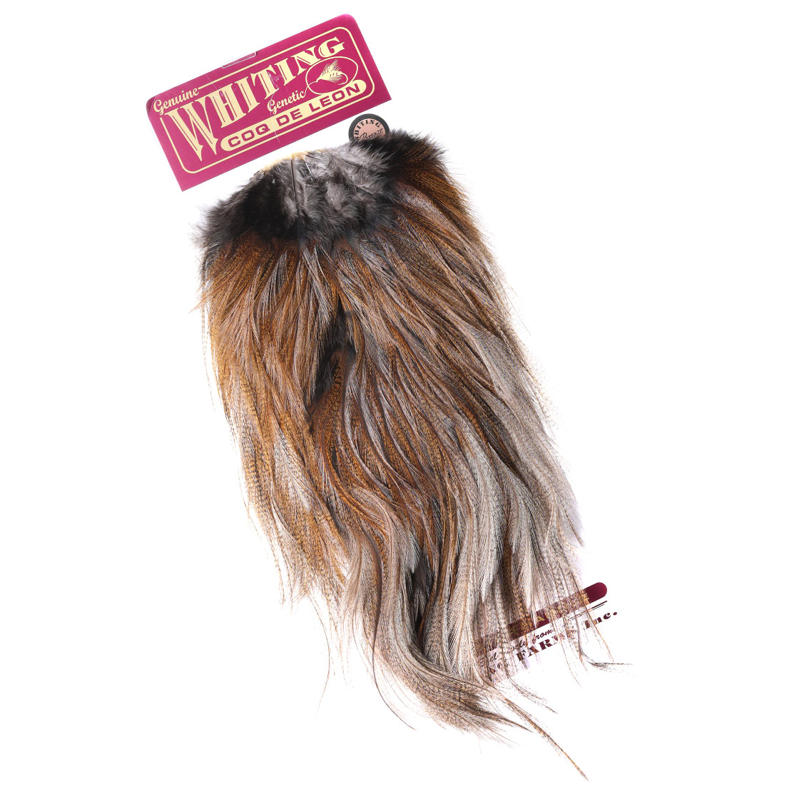 P-25395-1_Whiting-Coq-de-Leon-Saddle-Bronze_ginger-pardo ginger pardo