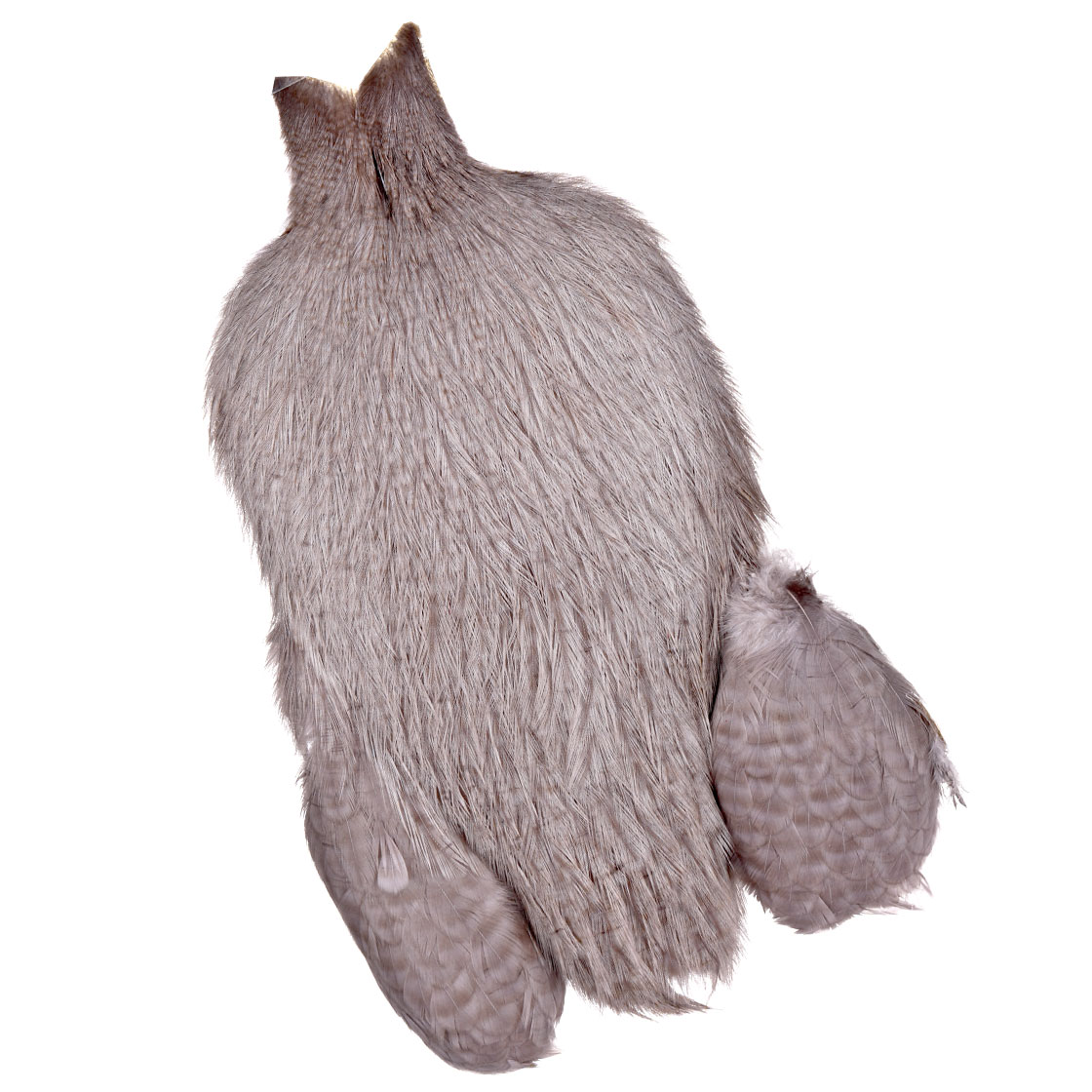 white dyed medium dun