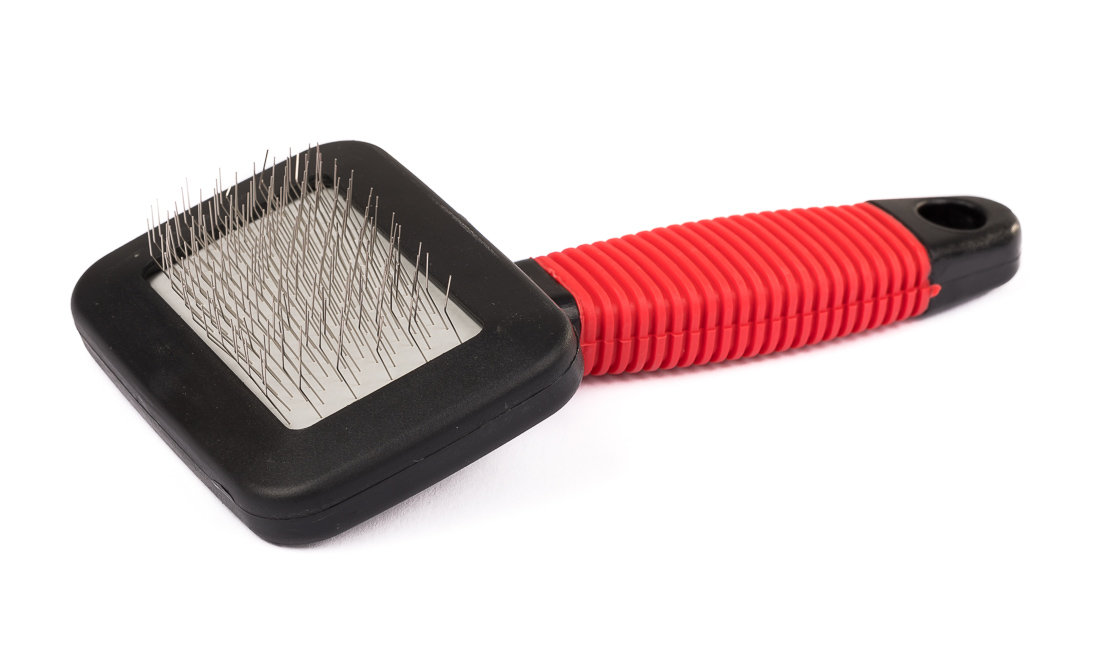 Future Fly Skin and Hair Brush