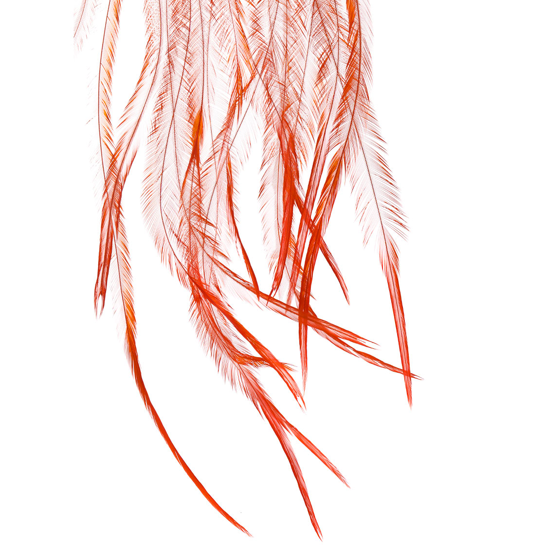 P-25409_Whiting-100-Pk-Size-12_detail-1