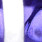 purple zebra glow