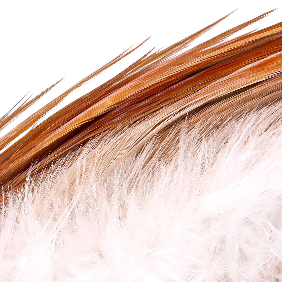 P-25419_Whiting-Bronze-Cape_detail