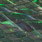 peacock green