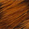 05 brown