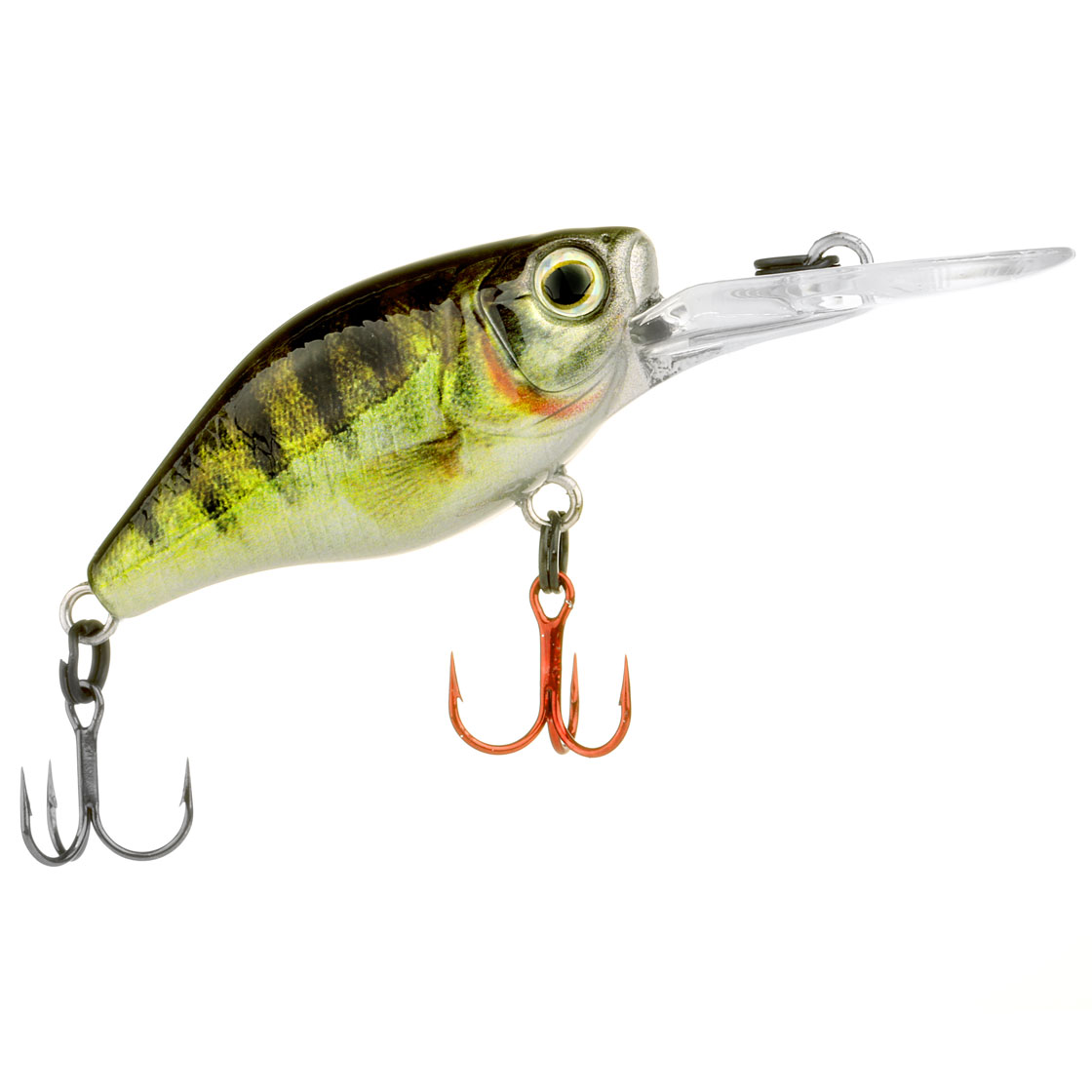 zander