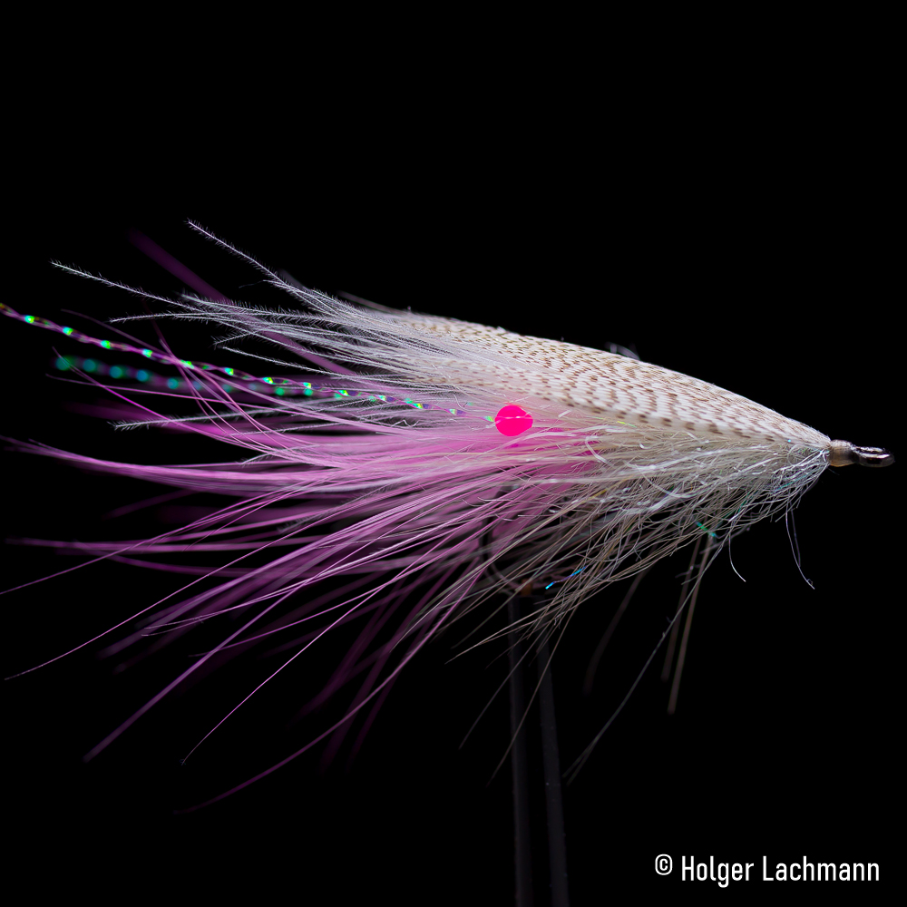 Easy_Shrimp_Eyes_Promo_Holger_Lachmann_3 Bindebeispiel (Holger Lachmann)