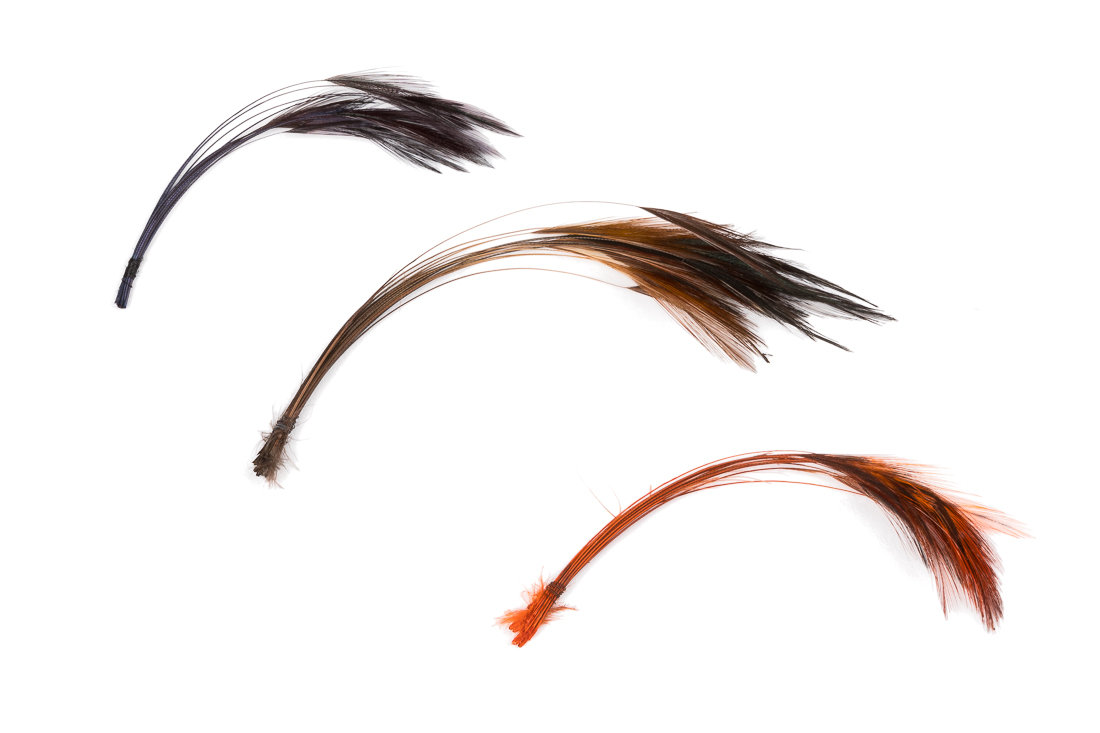 veniard_ready_stripped_hackle_quills_title