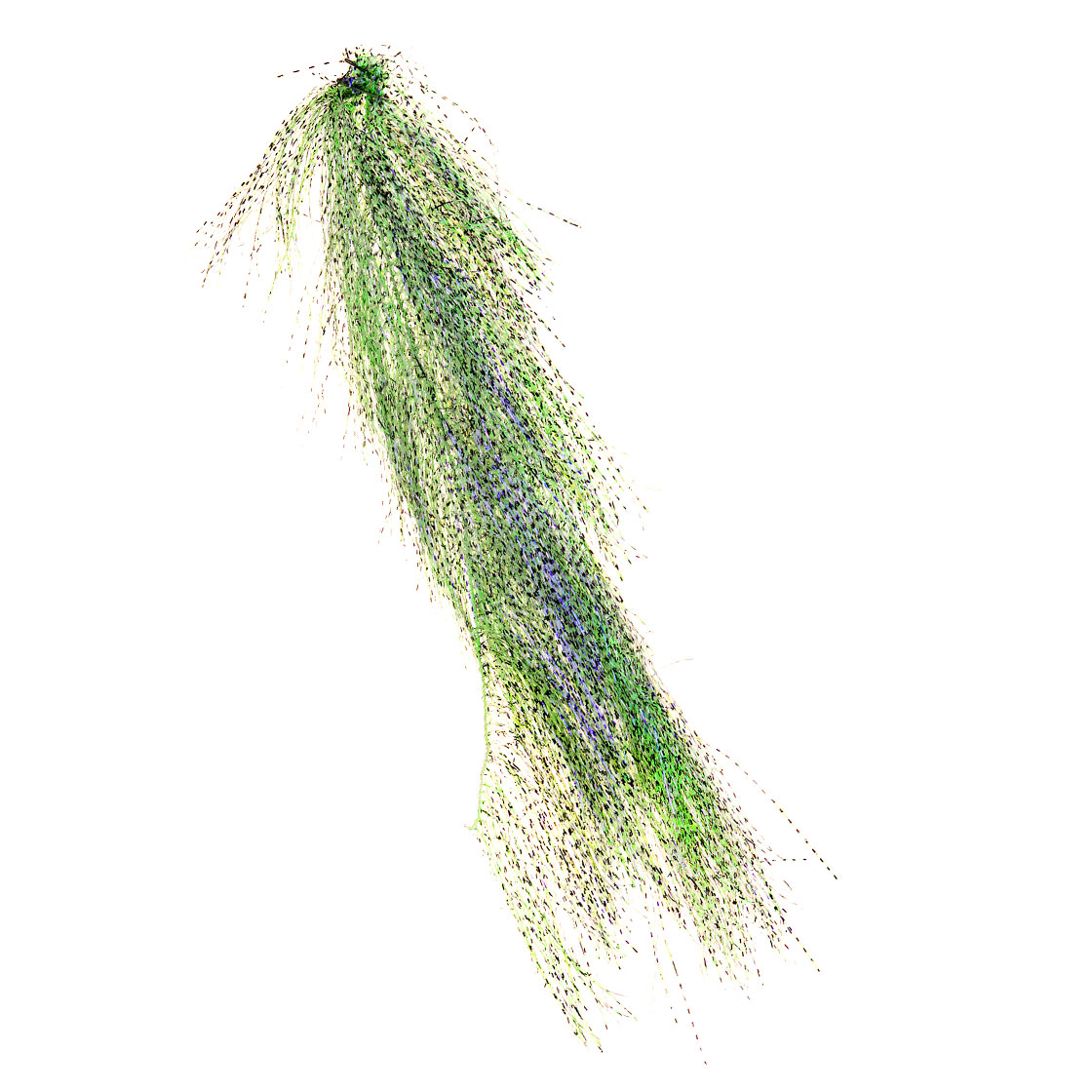 fluo chartreuse uv black barred