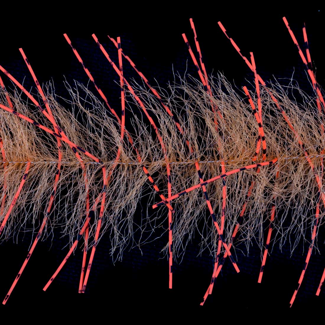 orange & hot orange black bar